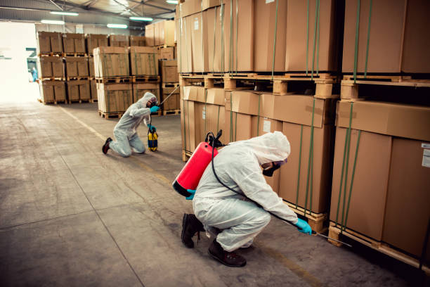 Best Affordable Exterminators  in Somerville, NJ