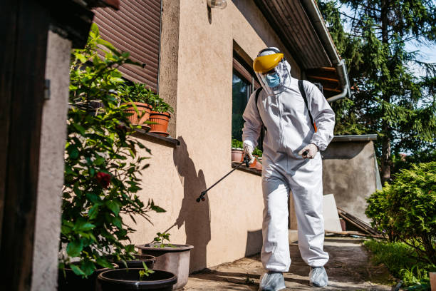 Best Pest Inspection Near Me  in Somerville, NJ