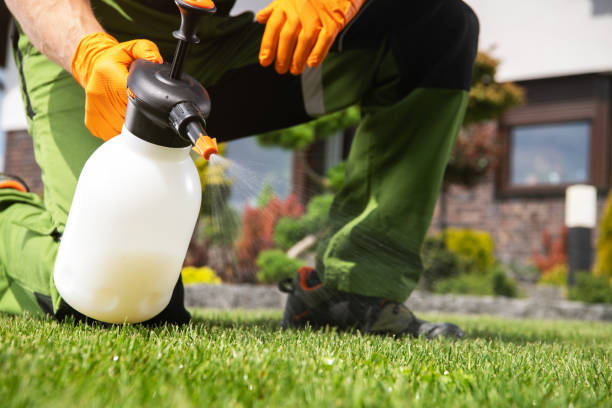 Pest Prevention Services in Somerville, NJ