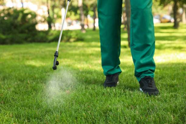 Pest Control Cost in Somerville, NJ