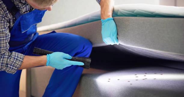 Best Termite Control Services  in Somerville, NJ