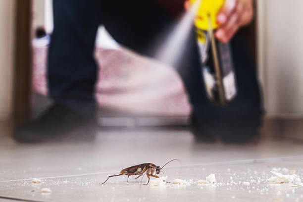  Somerville, NJ Pest Control Pros