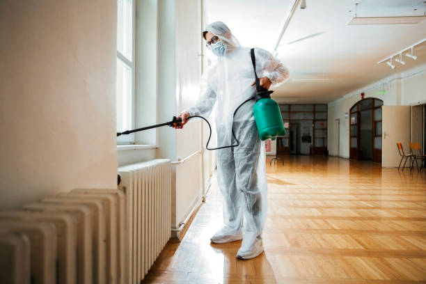 Best Wasp Removal Services  in Somerville, NJ
