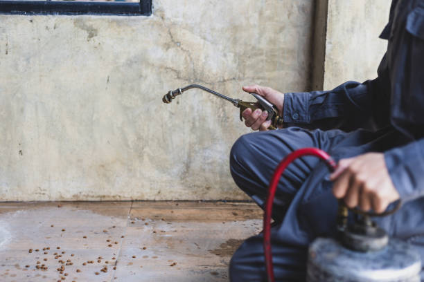Best Mosquito Control Services  in Somerville, NJ